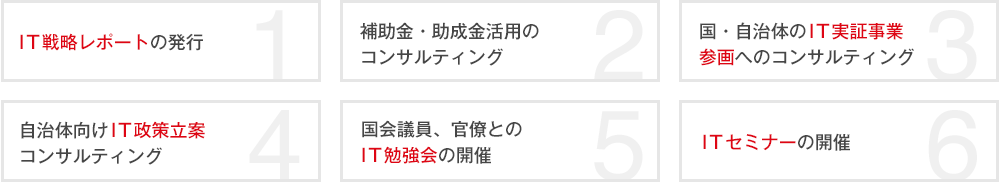 IT戦略レポートの発行／補助金・助成金活用のコンサルティング／国・自治体のIT実証事業参画へのコンサルティング／自治体向けIT政策立案コンサルティング／国会議員、官僚とのIT勉強会の開催／ITセミナーの開催